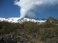 anobello-04032012 134
